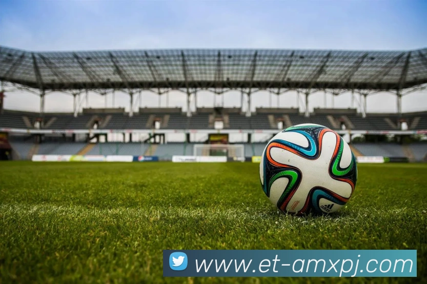 新葡京娱乐APP 封面图